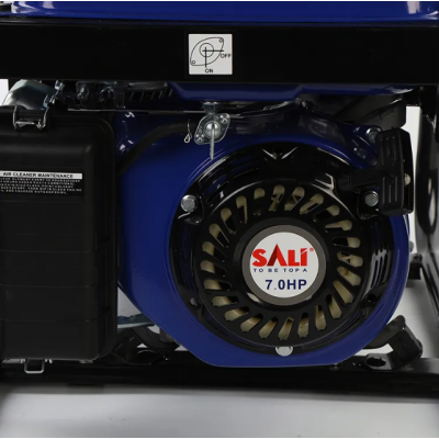 ელექტრო გენერატორი SALI W032200SL